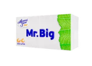 Салфетки бумажные белые 24 х 24 однослойные Mr Big 250 шт (артикул производителя С58)