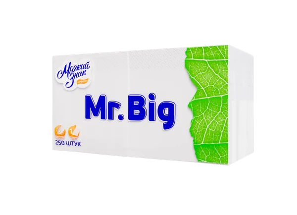 Салфетки бумажные белые 24 х 24 однослойные Mr Big 250 шт (артикул производителя С58) — фото 1